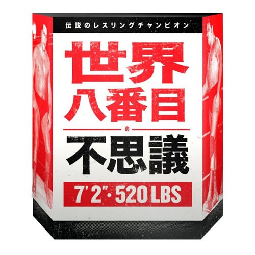 S7 ULTIMATES! Figures - Andre The Giant (Robe) - Super7